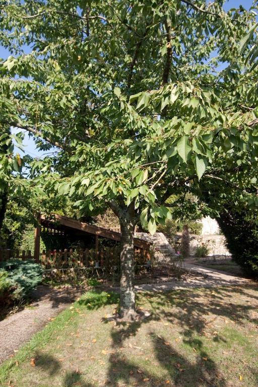 Le Petit Chateau - Tiffauges Proche Puy Dufou المظهر الخارجي الصورة